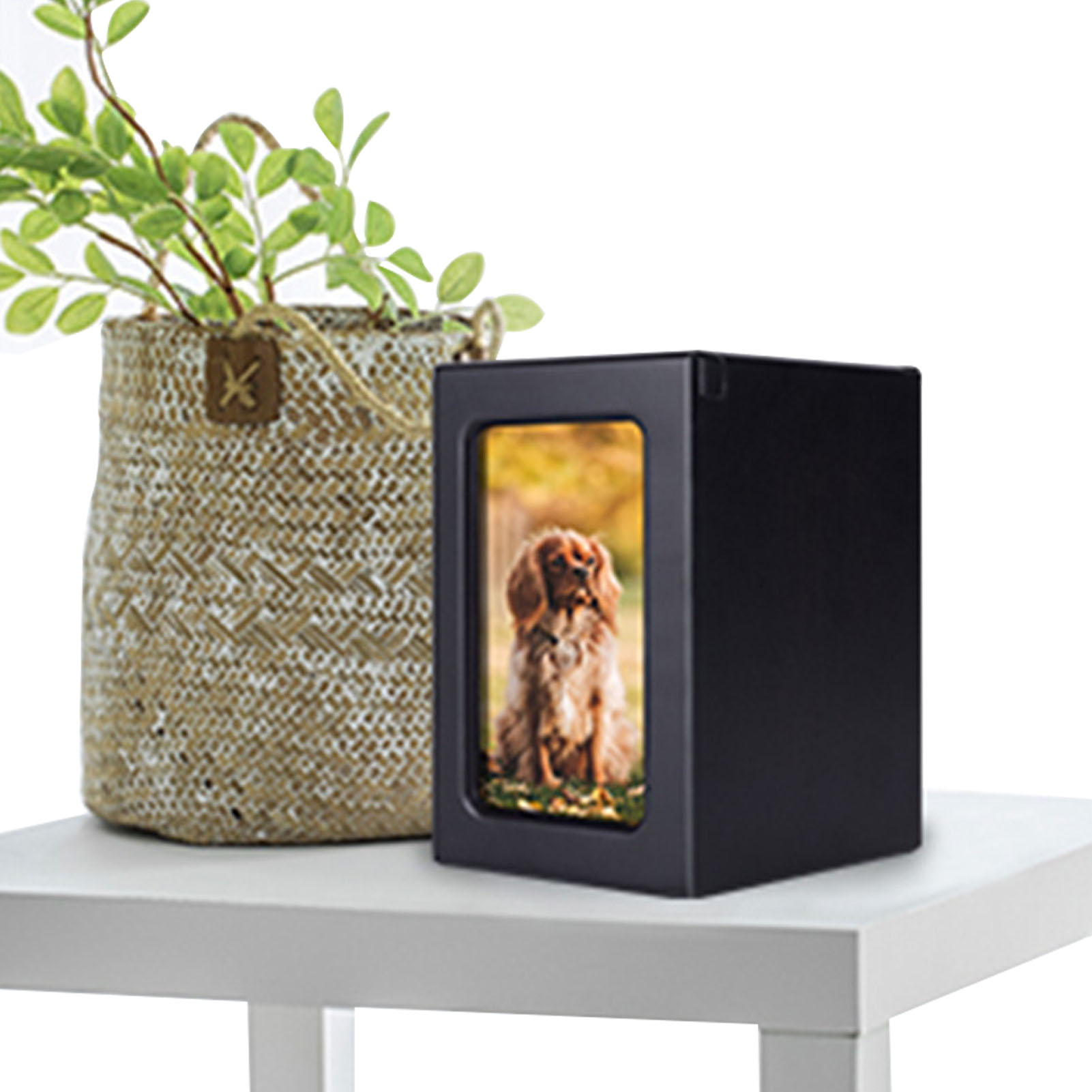 Wooden Pet Urns Wooden Cremati - Engraved Wood Frame 리뷰 및 가격