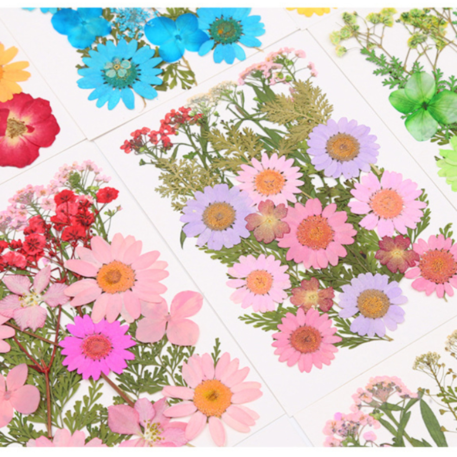 Un-dyed Natural Pressed Dried  - Dried Flower Bookmark 리뷰 및 가격