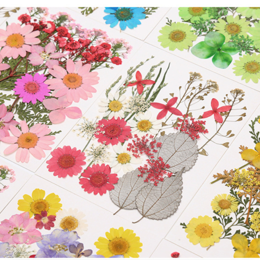 Un-dyed Natural Pressed Dried  - Dried Flower Bookmark 리뷰 및 가격