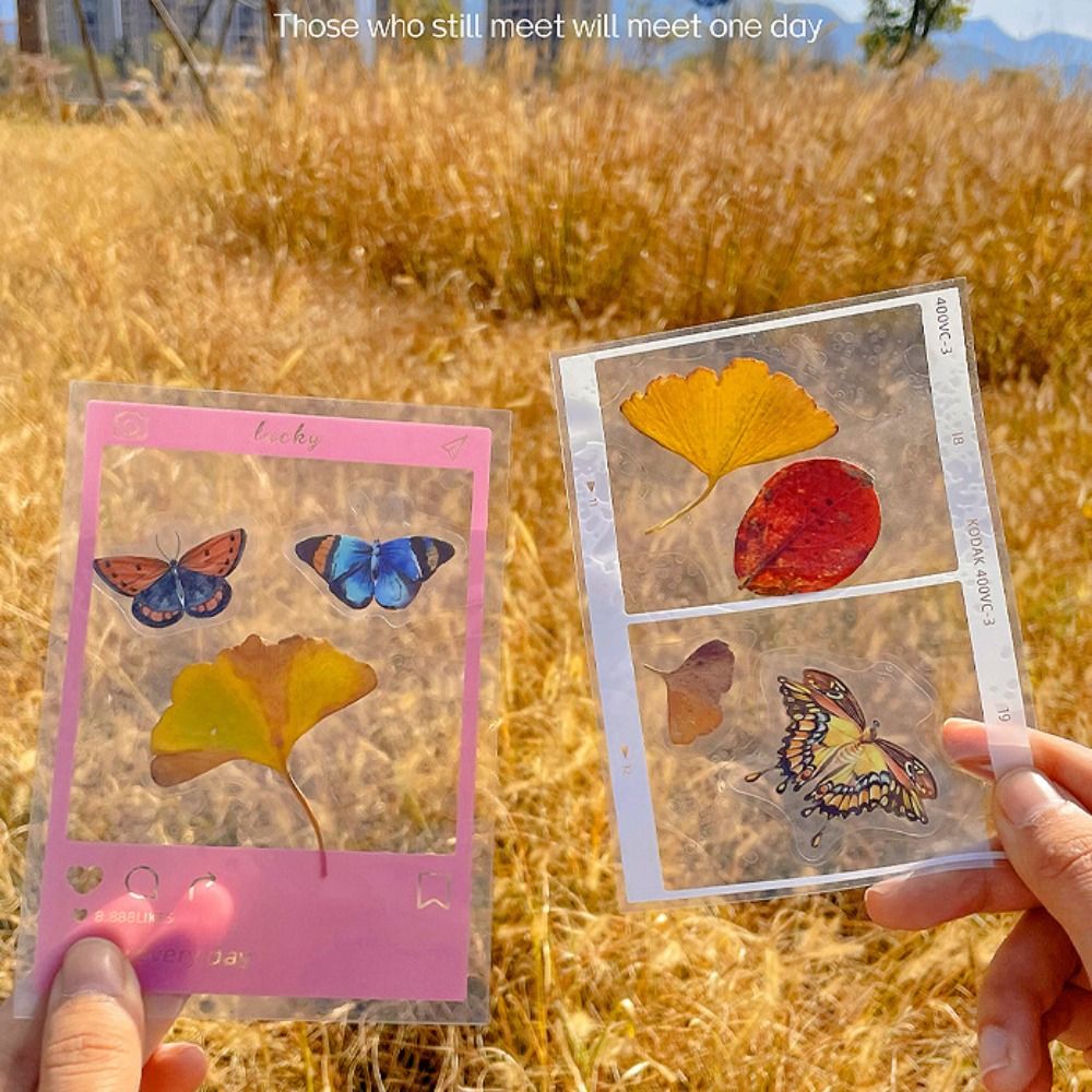 DIY Materials DIY Dried Flower - Dried Flower Bookmark 리뷰 및 가격