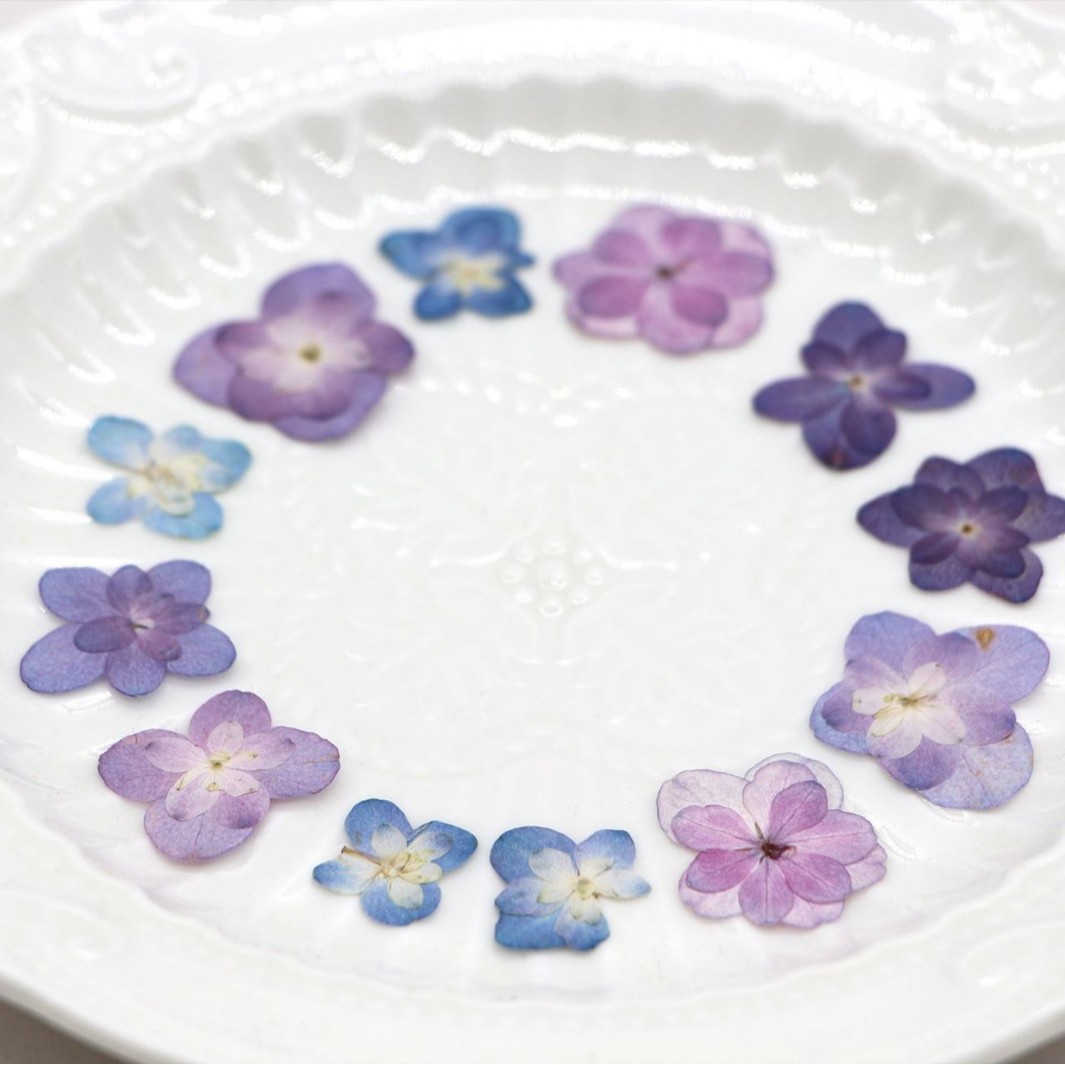 60Pcs Mini Double-Flowered Hyd - Dried Flower Bookmark 리뷰 및 가격